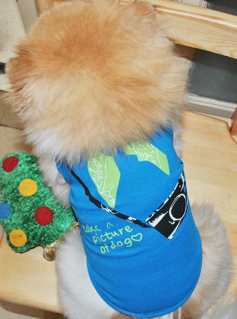 3 PCS Small Dog T Shirts Striped Dog Clothes