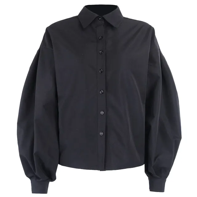 Elegant Lantern Sleeve Turn Down Collar Shirt Blouse