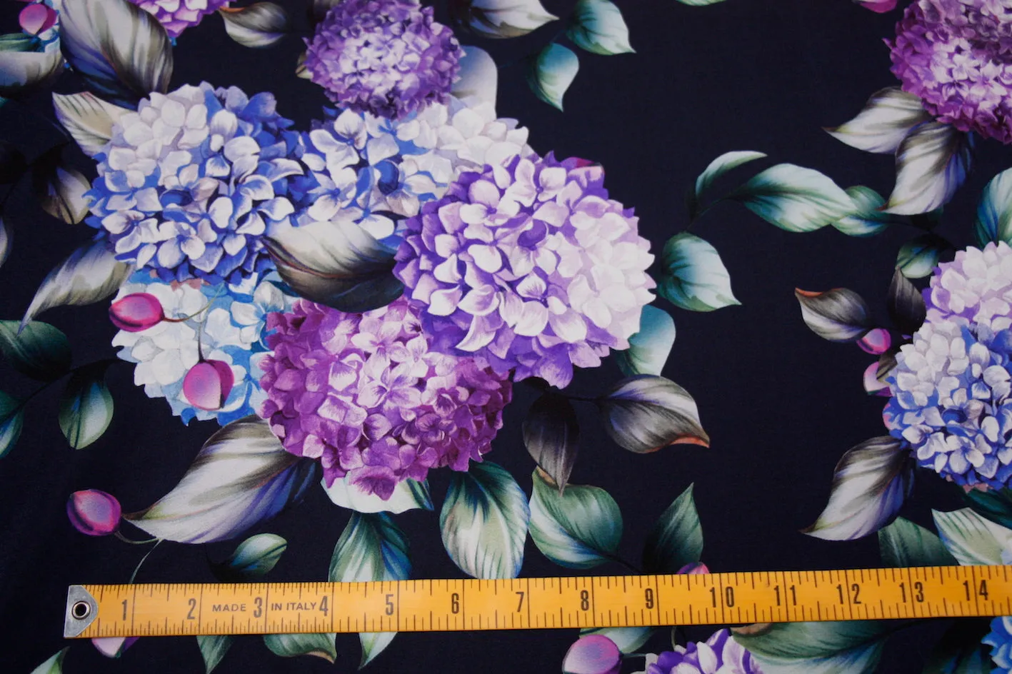 Hydrangea Dreaming