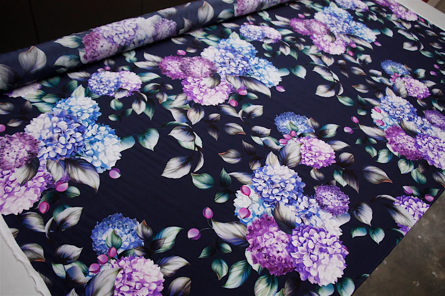 Hydrangea Dreaming