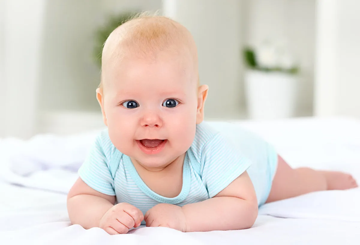 Infant Boys T-shirts And Training Pants Cs_0533nb